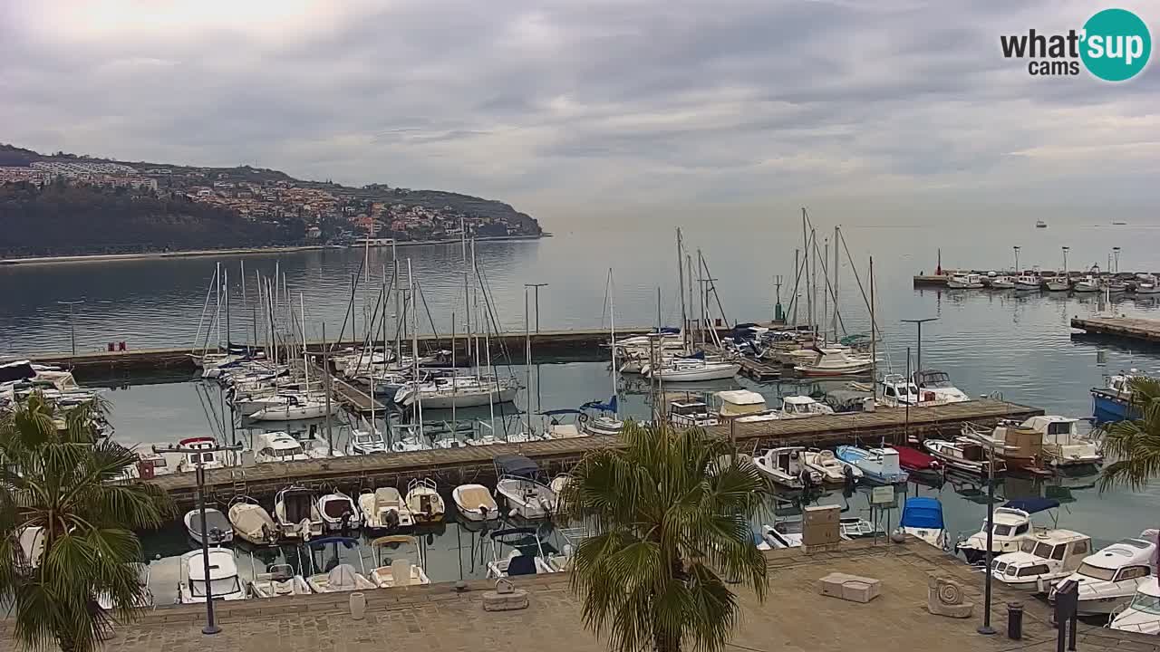 Webcam Koper – Panorama des Jachthafens und der Promenade vom Hotel Grand Koper