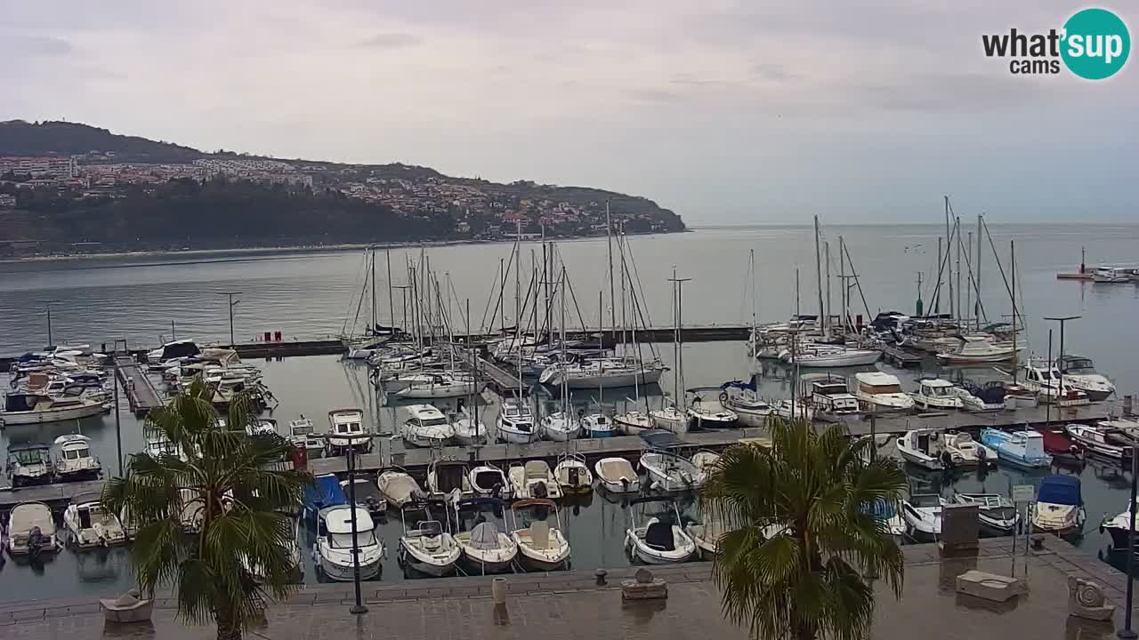 Webcam Koper – Panorama of the marina and promenade from the Grand Hotel Koper