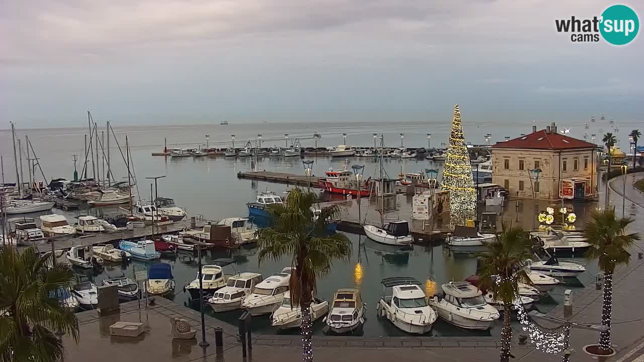 Spletna kamera Luka Koper v živo – Potniški terminal in tovorno pristanišče – Slovenija