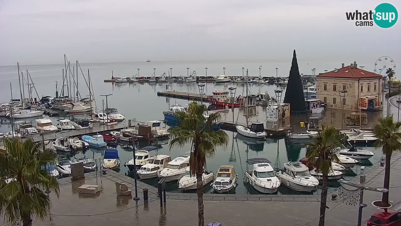 Spletna kamera Koper – Panorama na marino in promenado s Hotela Grand Koper