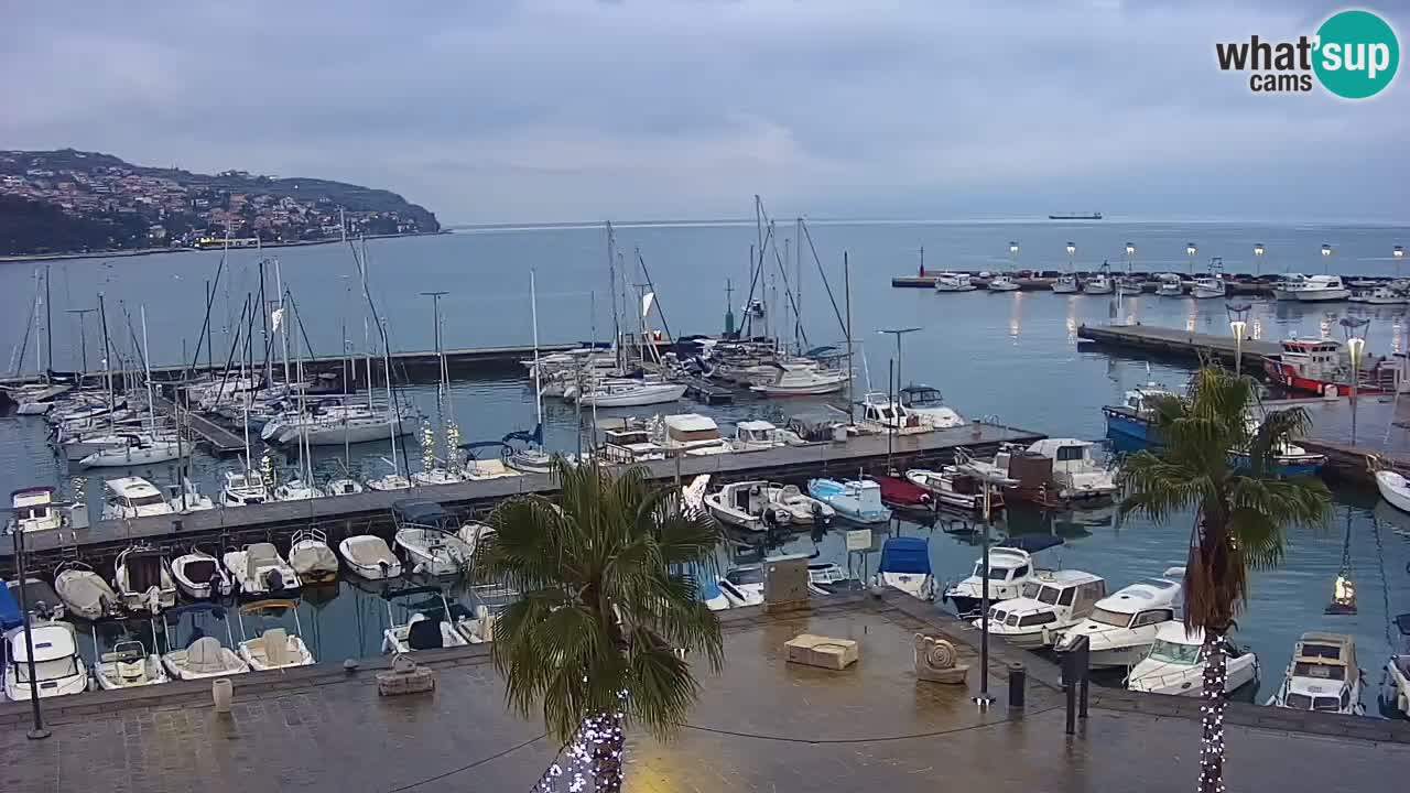 Spletna kamera Koper – Panorama na marino in promenado s Hotela Grand Koper