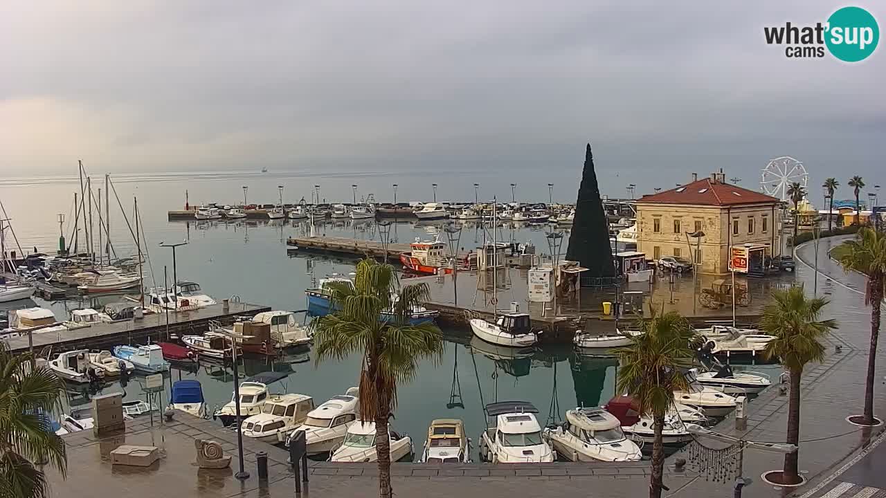 Der Hafen von Koper Live-Webcam – Kreuzfahrt- und Frachthafen – Slowenien