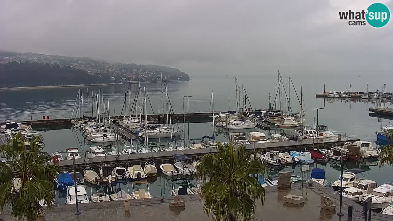 Camera en vivo Koper – puerto deportivo y paseo marítimo desde el Hotel Grand Koper