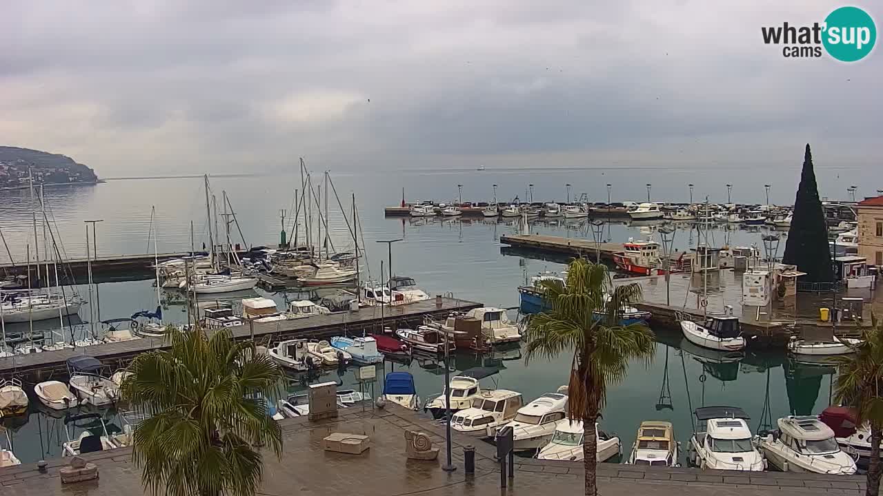 Webcam Koper – Panorama des Jachthafens und der Promenade vom Hotel Grand Koper