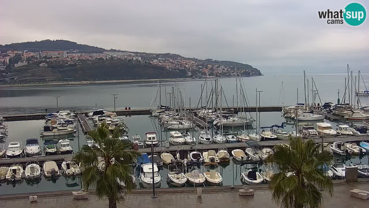Webcam Koper – Panorama of the marina and promenade from the Grand Hotel Koper