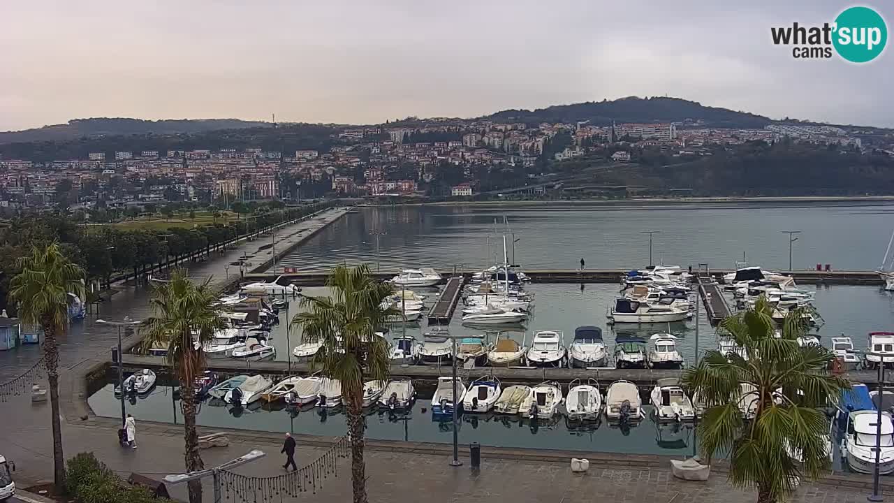 Spletna kamera Koper – Panorama na marino in promenado s Hotela Grand Koper