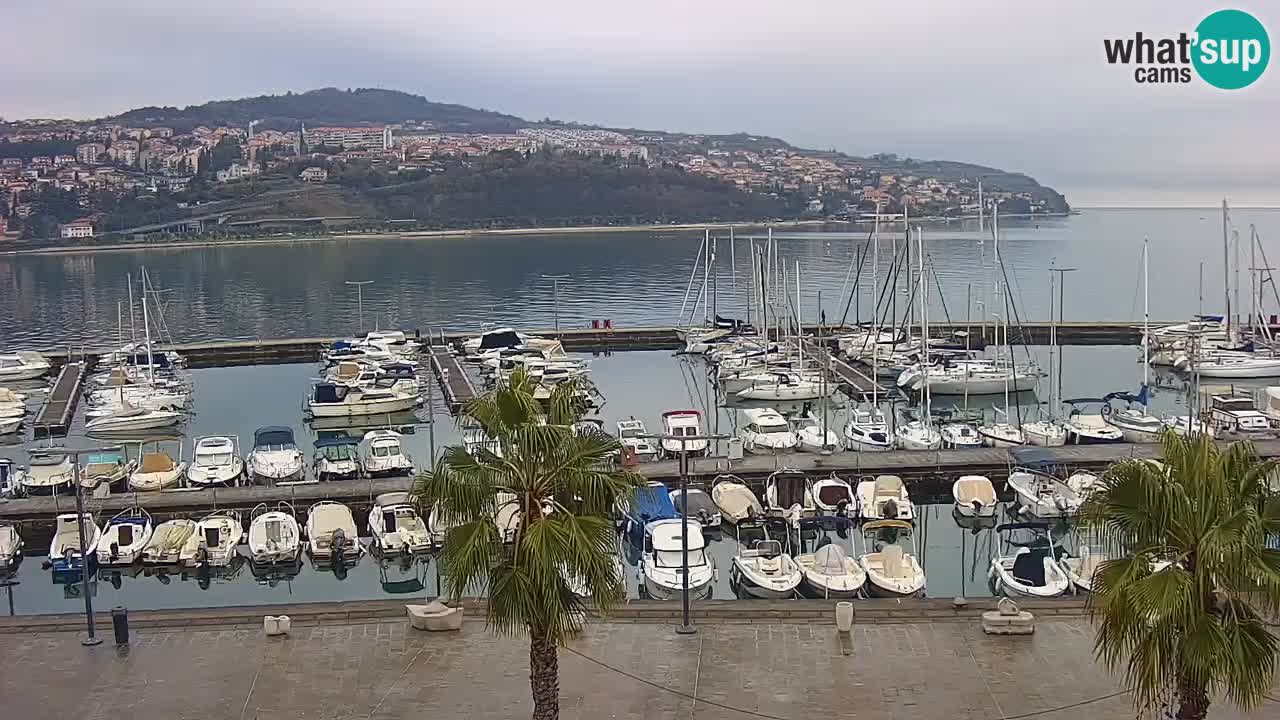 Webcam Koper – Panorama des Jachthafens und der Promenade vom Hotel Grand Koper