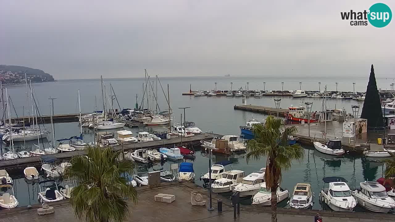 Web kamera Koper – marina i promenada – hotel Grand Koper