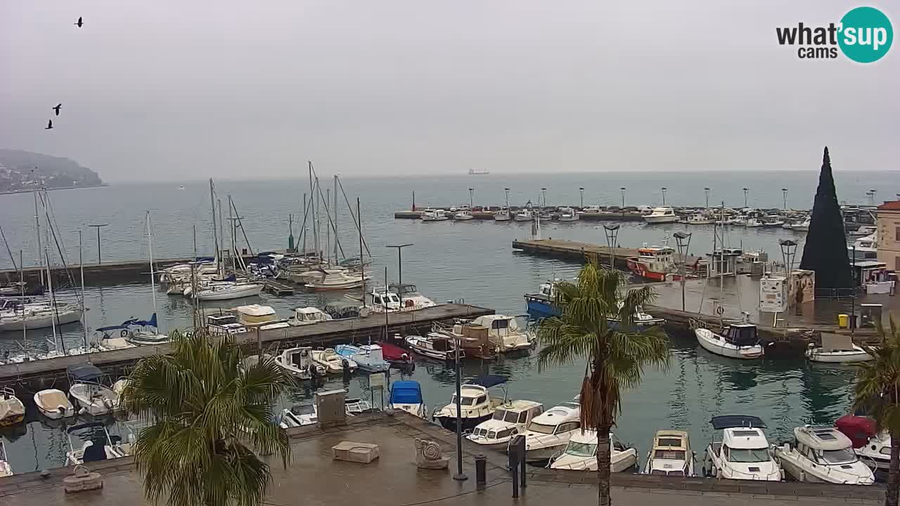 Camera en vivo Koper – puerto deportivo y paseo marítimo desde el Hotel Grand Koper