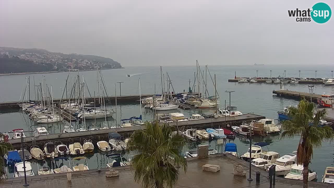 Camera en vivo Koper – puerto deportivo y paseo marítimo desde el Hotel Grand Koper