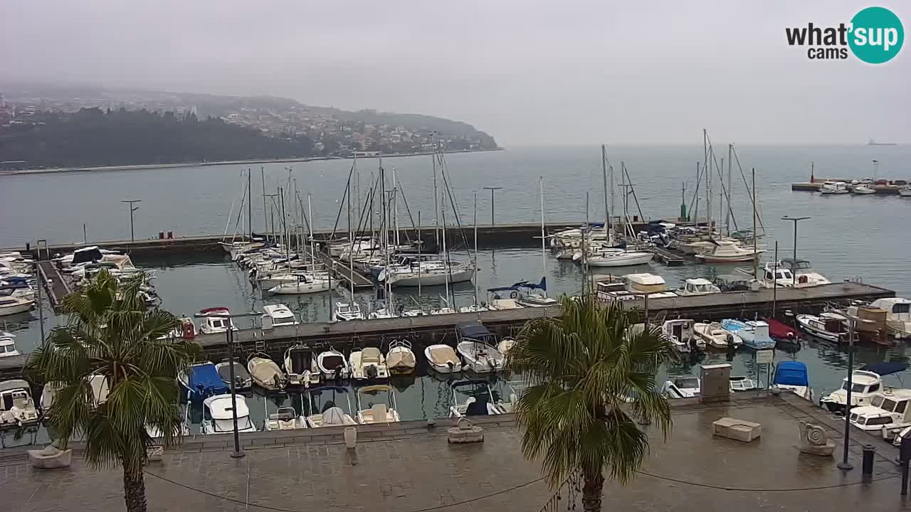 Spletna kamera Koper – Panorama na marino in promenado s Hotela Grand Koper