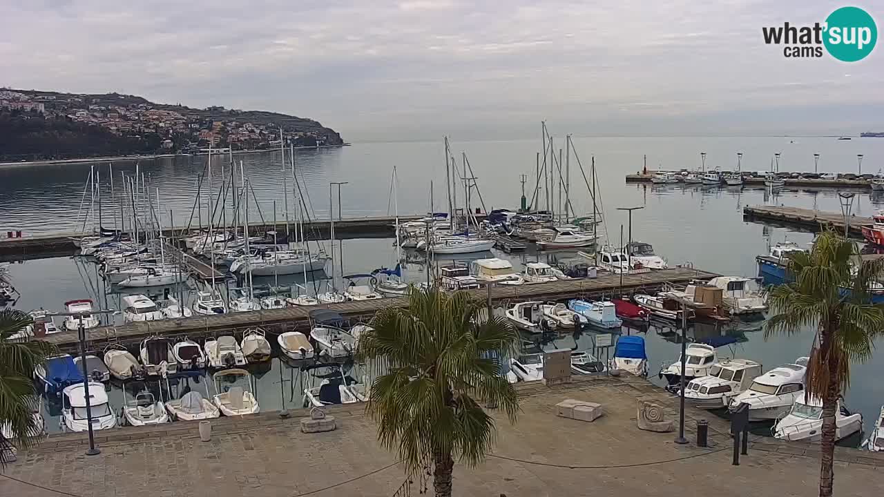 Spletna kamera Koper – Panorama na marino in promenado s Hotela Grand Koper