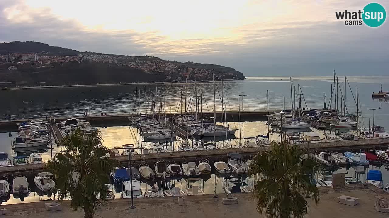 Spletna kamera Koper – Panorama na marino in promenado s Hotela Grand Koper