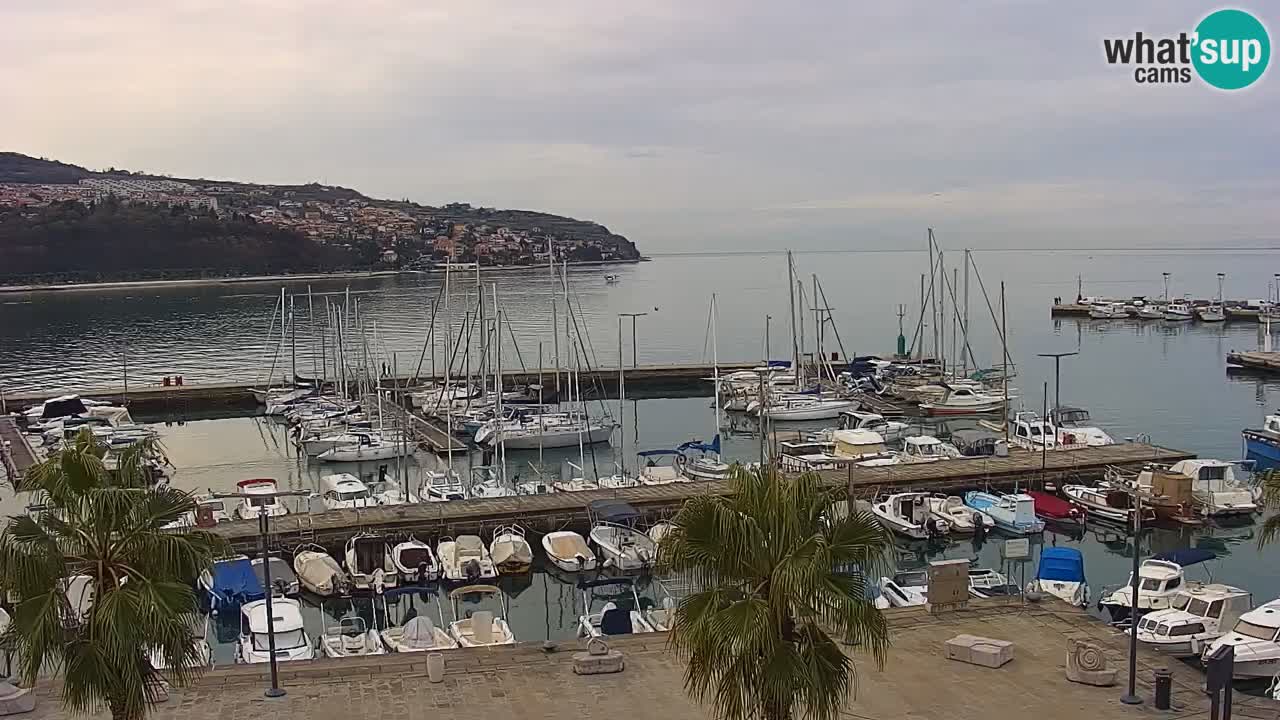 Camera en vivo Koper – puerto deportivo y paseo marítimo desde el Hotel Grand Koper