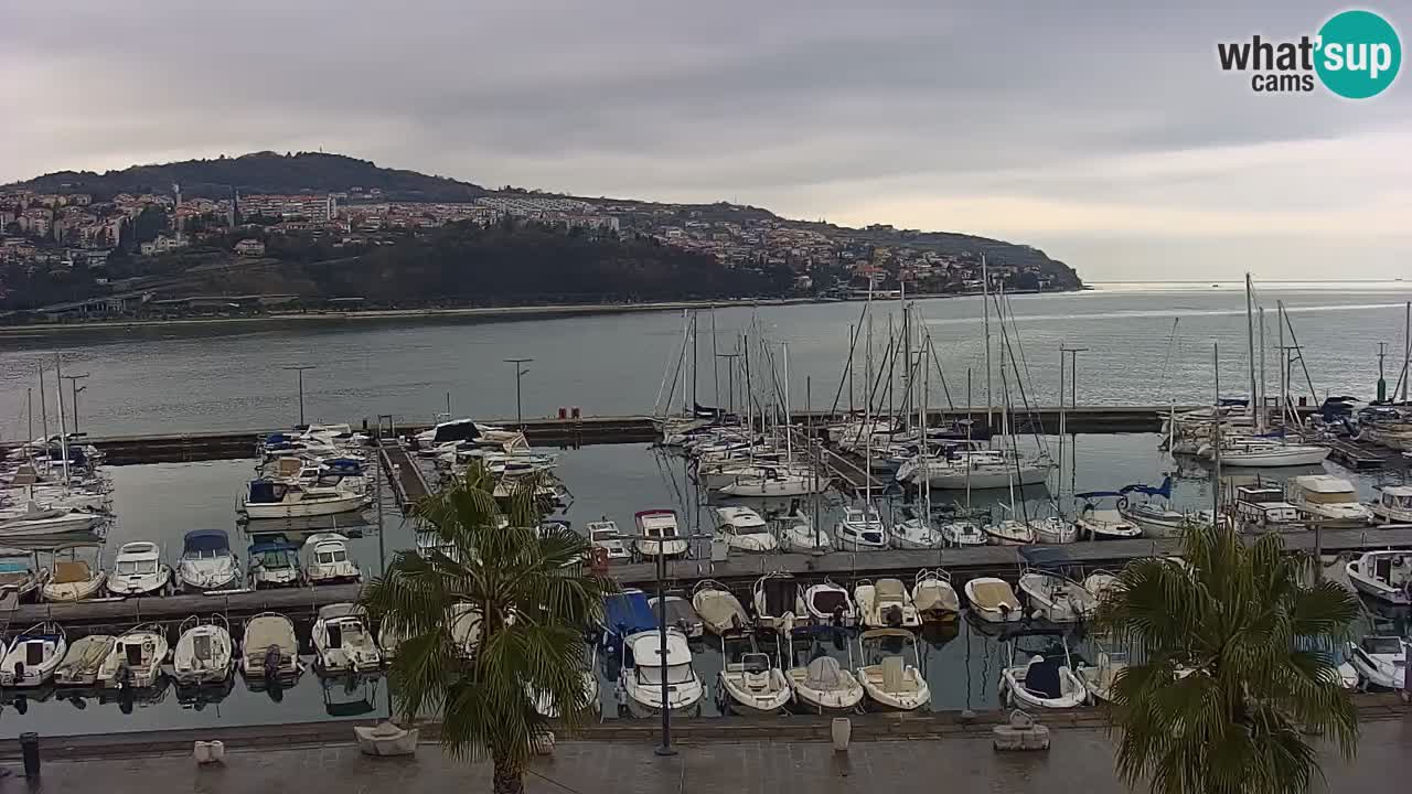 Webcam Koper – Panorama of the marina and promenade from the Grand Hotel Koper