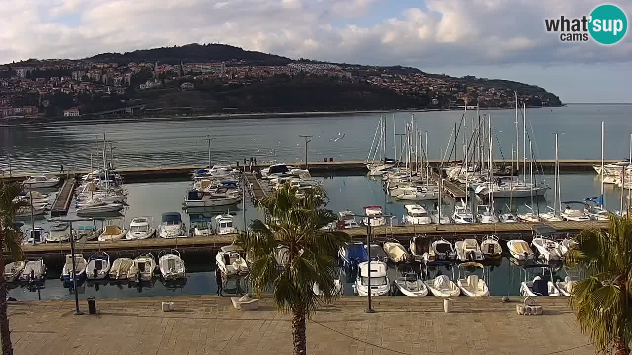 Webcam Koper – Panorama of the marina and promenade from the Grand Hotel Koper