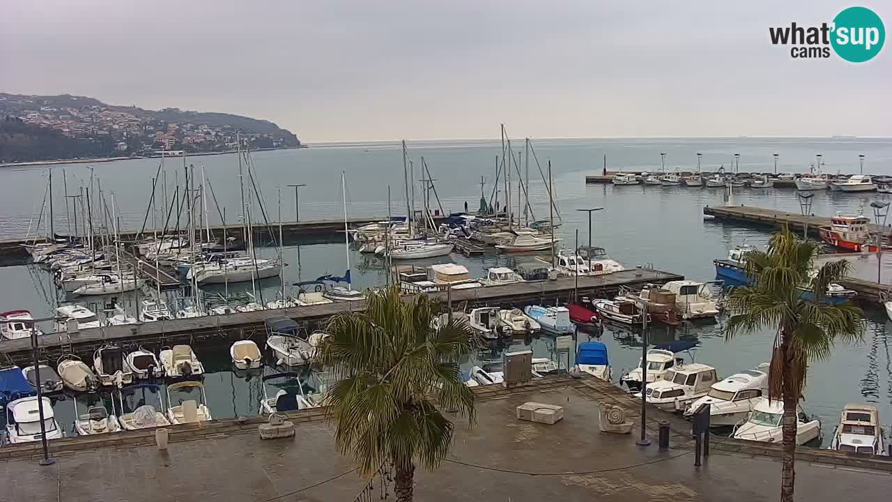 Webcam Koper – Panorama des Jachthafens und der Promenade vom Hotel Grand Koper
