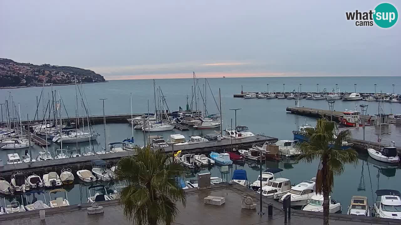 Spletna kamera Koper – Panorama na marino in promenado s Hotela Grand Koper