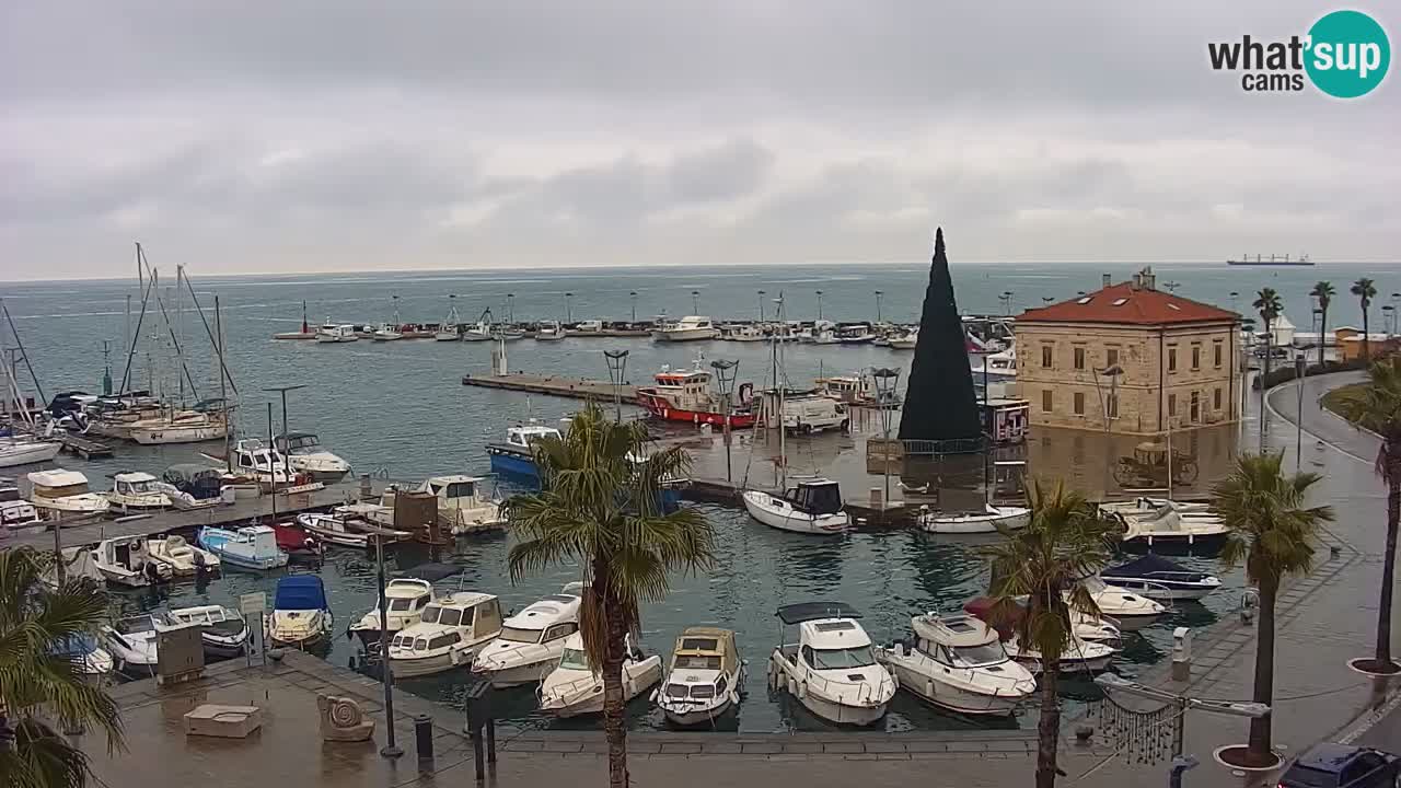 Web kamera Koper – marina i promenada – hotel Grand Koper