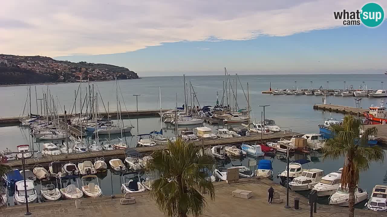 Webcam Koper – Panorama de la marina et de la promenade depuis le Grand Hotel Koper