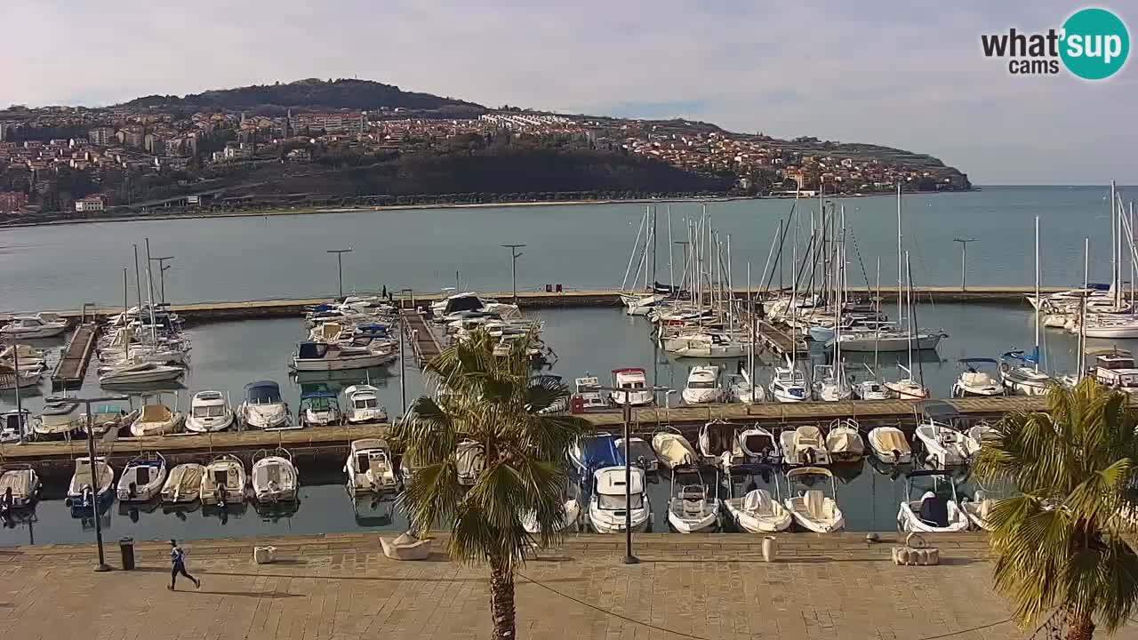 Webcam Koper – Panorama of the marina and promenade from the Grand Hotel Koper