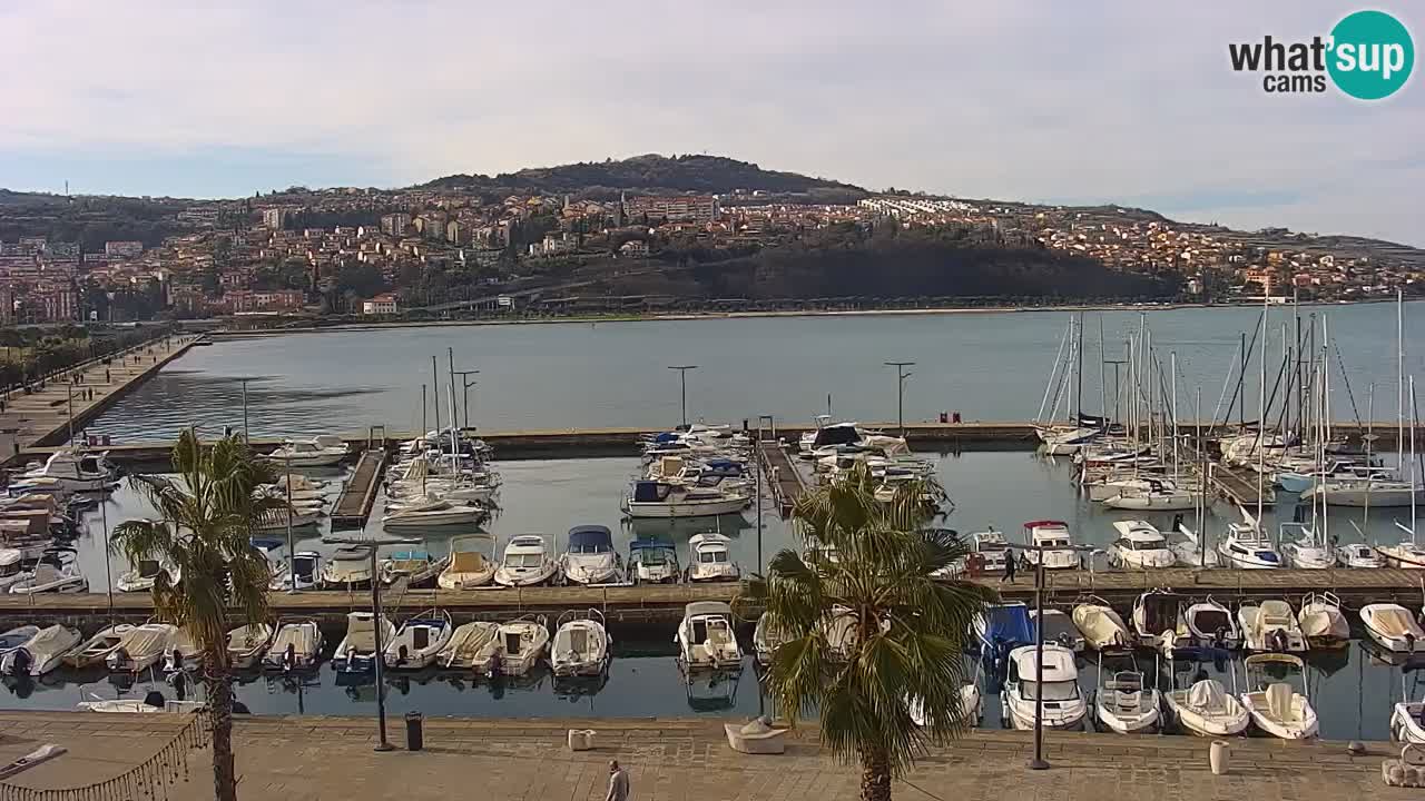 Camera en vivo Koper – puerto deportivo y paseo marítimo desde el Hotel Grand Koper
