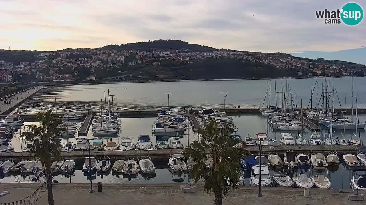 Spletna kamera Koper – Panorama na marino in promenado s Hotela Grand Koper