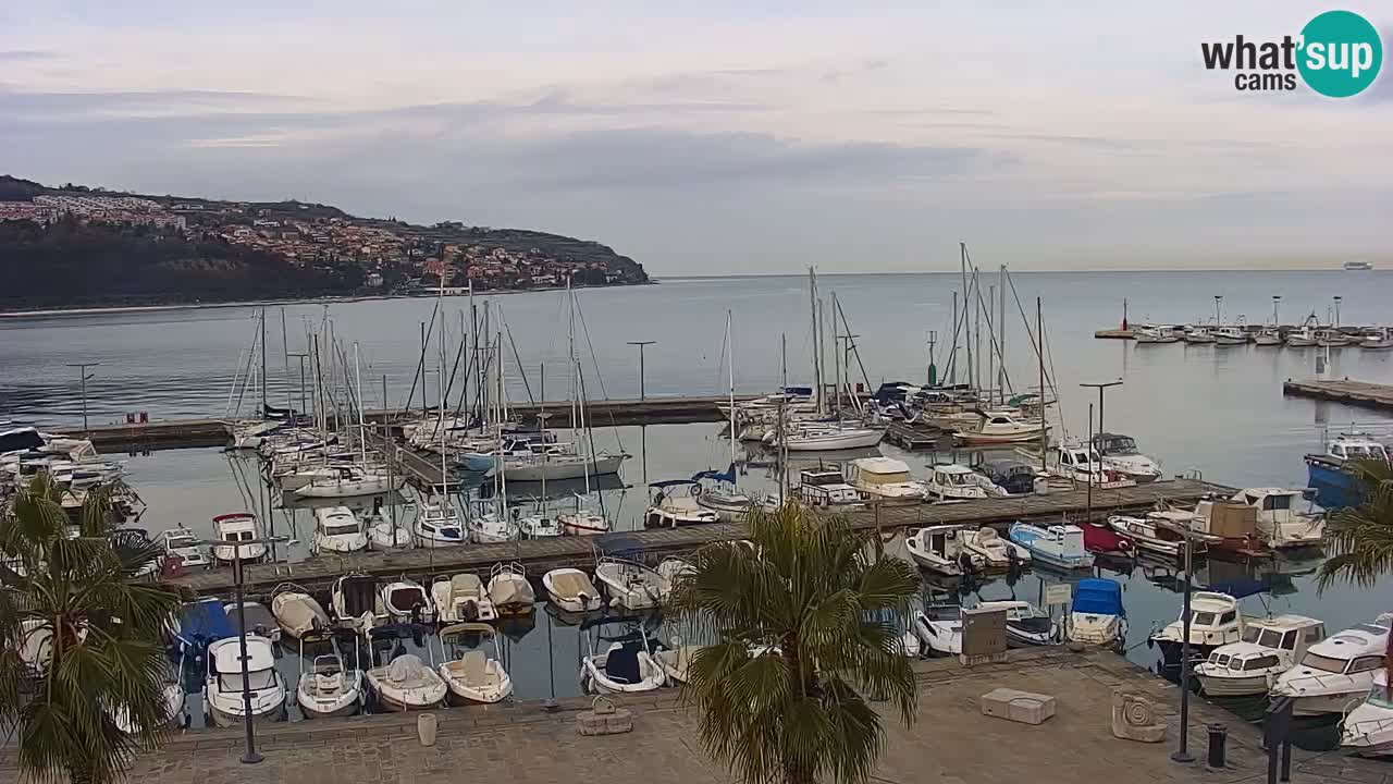 Webcam Koper – Panorama of the marina and promenade from the Grand Hotel Koper