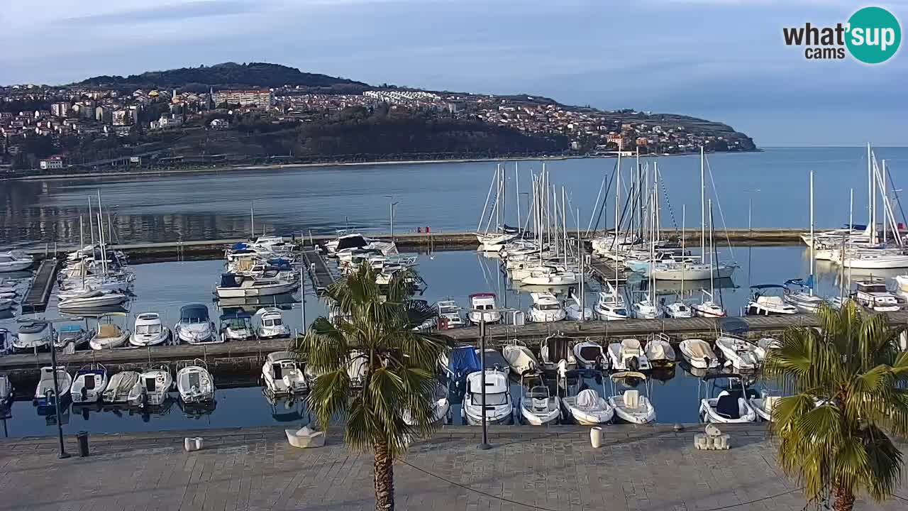 Camera en vivo Koper – puerto deportivo y paseo marítimo desde el Hotel Grand Koper
