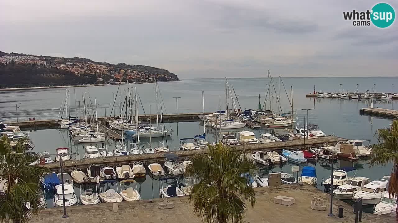 Spletna kamera Koper – Panorama na marino in promenado s Hotela Grand Koper