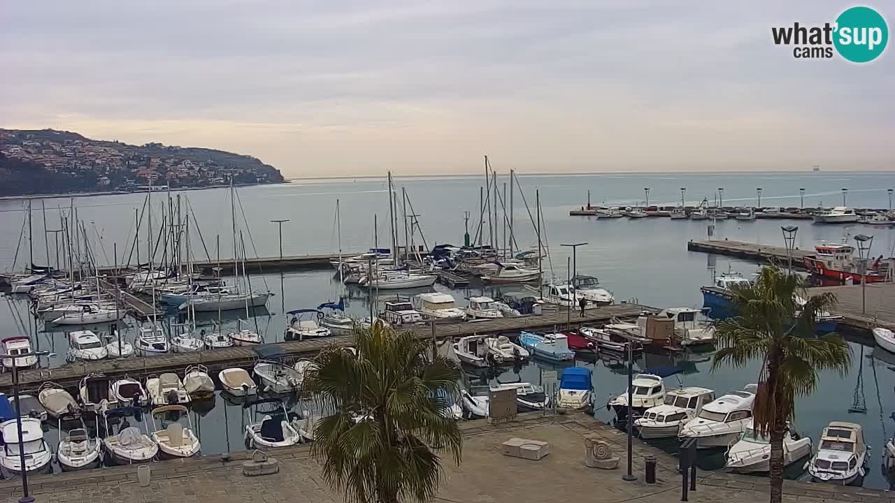 Webcam Koper – Panorama of the marina and promenade from the Grand Hotel Koper
