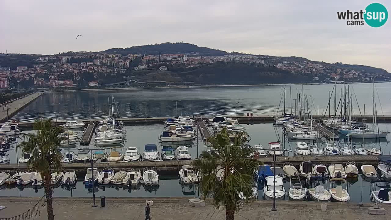 Webcam Koper – Panorama of the marina and promenade from the Grand Hotel Koper