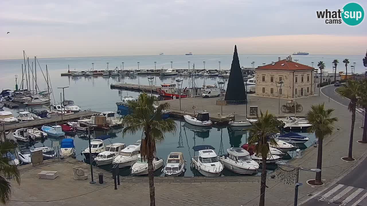 Camera en vivo Koper – puerto deportivo y paseo marítimo desde el Hotel Grand Koper