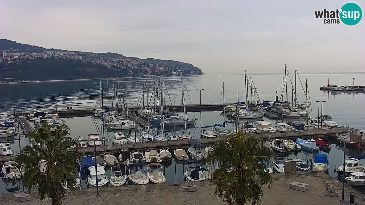 Spletna kamera Koper – Panorama na marino in promenado s Hotela Grand Koper