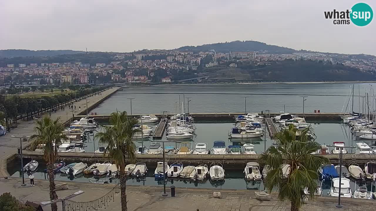 Webcam Koper – Panorama des Jachthafens und der Promenade vom Hotel Grand Koper