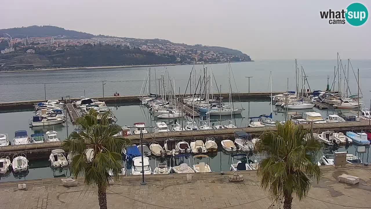 Camera en vivo Koper – puerto deportivo y paseo marítimo desde el Hotel Grand Koper