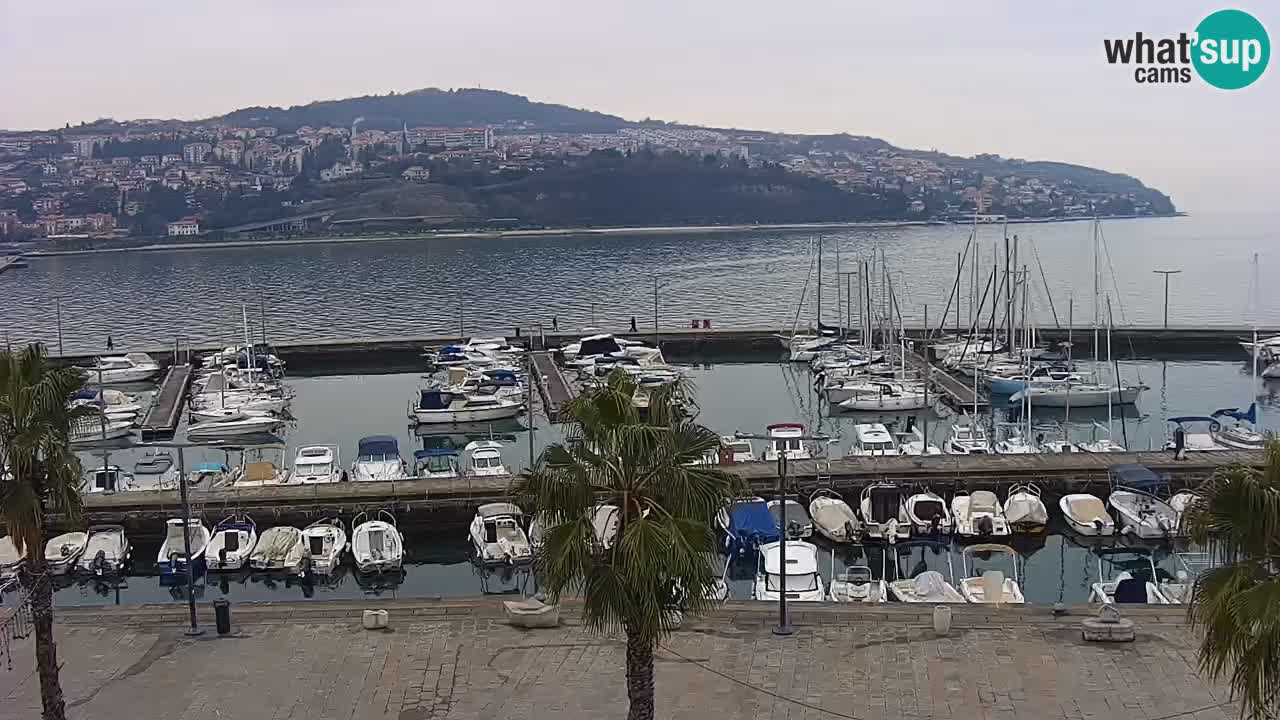 Spletna kamera Koper – Panorama na marino in promenado s Hotela Grand Koper