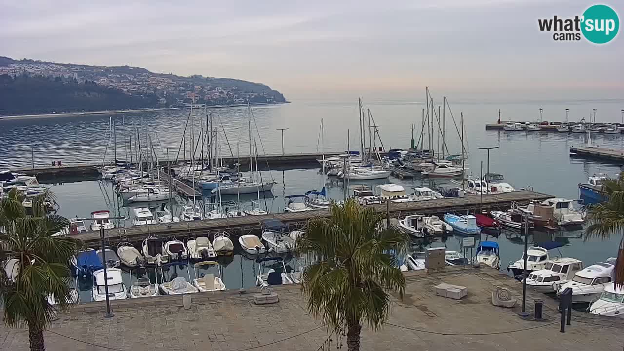 Camera en vivo Koper – puerto deportivo y paseo marítimo desde el Hotel Grand Koper