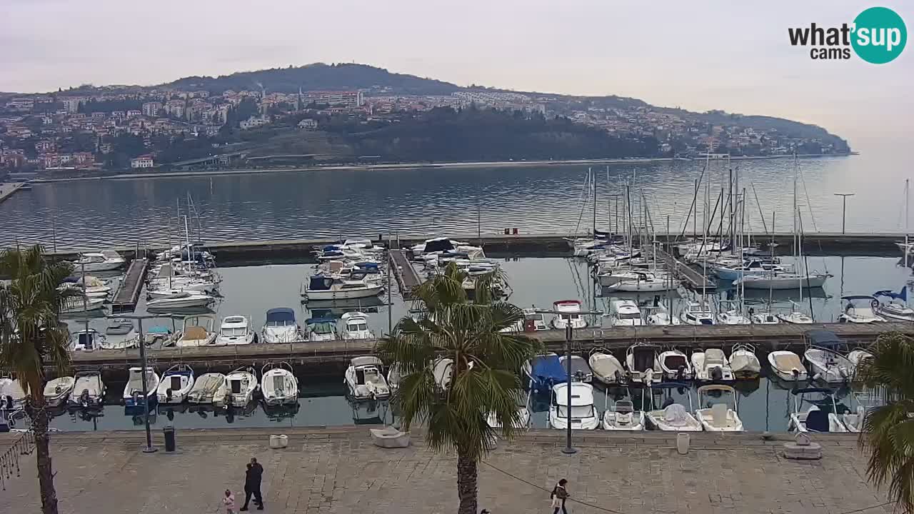 Camera en vivo Koper – puerto deportivo y paseo marítimo desde el Hotel Grand Koper