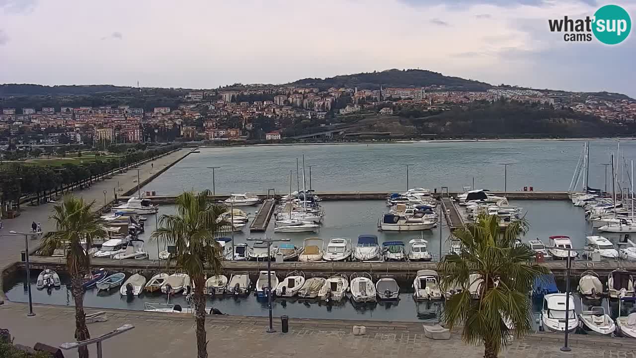 Webcam Koper – Panorama of the marina and promenade from the Grand Hotel Koper