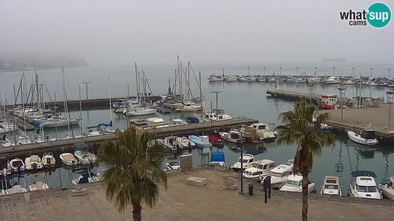 Webcam en vivo del Puerto de Koper – puerto de carga y cruceros – Eslovenia