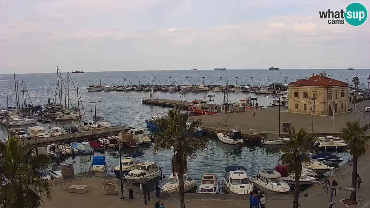 Web kamera Koper – marina i promenada – hotel Grand Koper