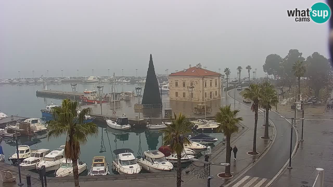 Webcam Koper – Panorama of the marina and promenade from the Grand Hotel Koper