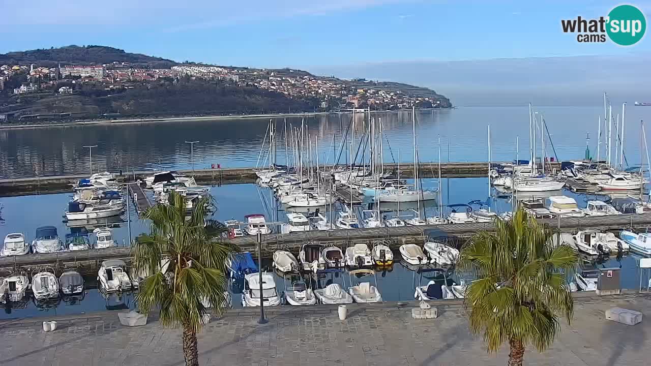 Camera en vivo Koper – puerto deportivo y paseo marítimo desde el Hotel Grand Koper