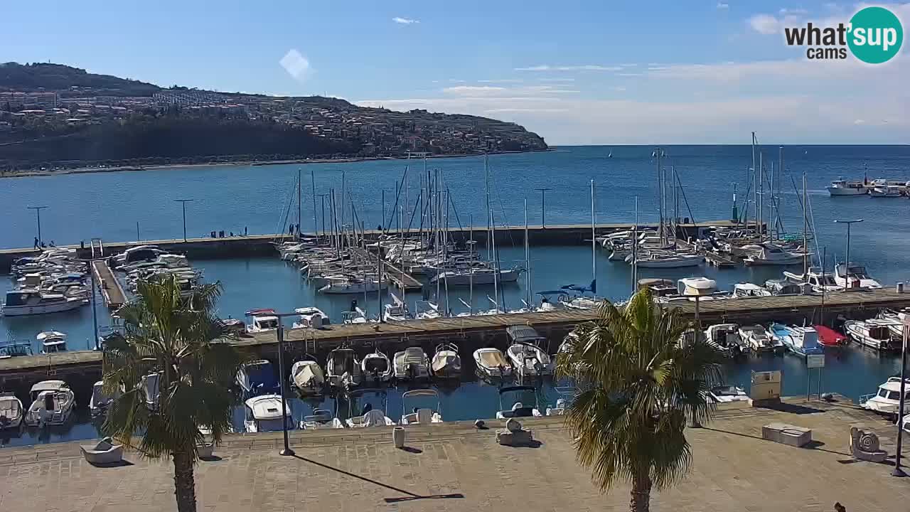 Spletna kamera Koper – Panorama na marino in promenado s Hotela Grand Koper