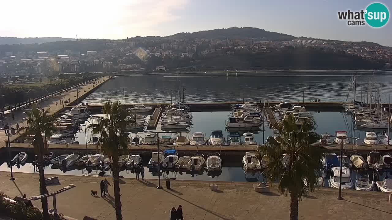 Spletna kamera Koper – Panorama na marino in promenado s Hotela Grand Koper