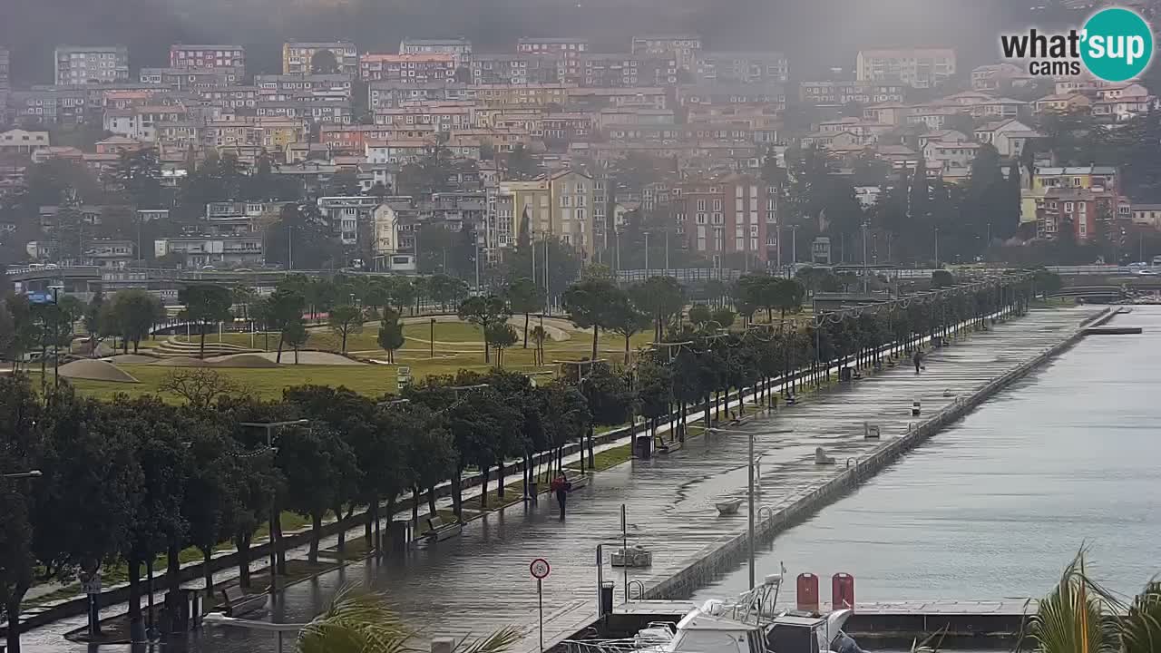 The Port of Koper live webcam – cruise and cargo port – Slovenia