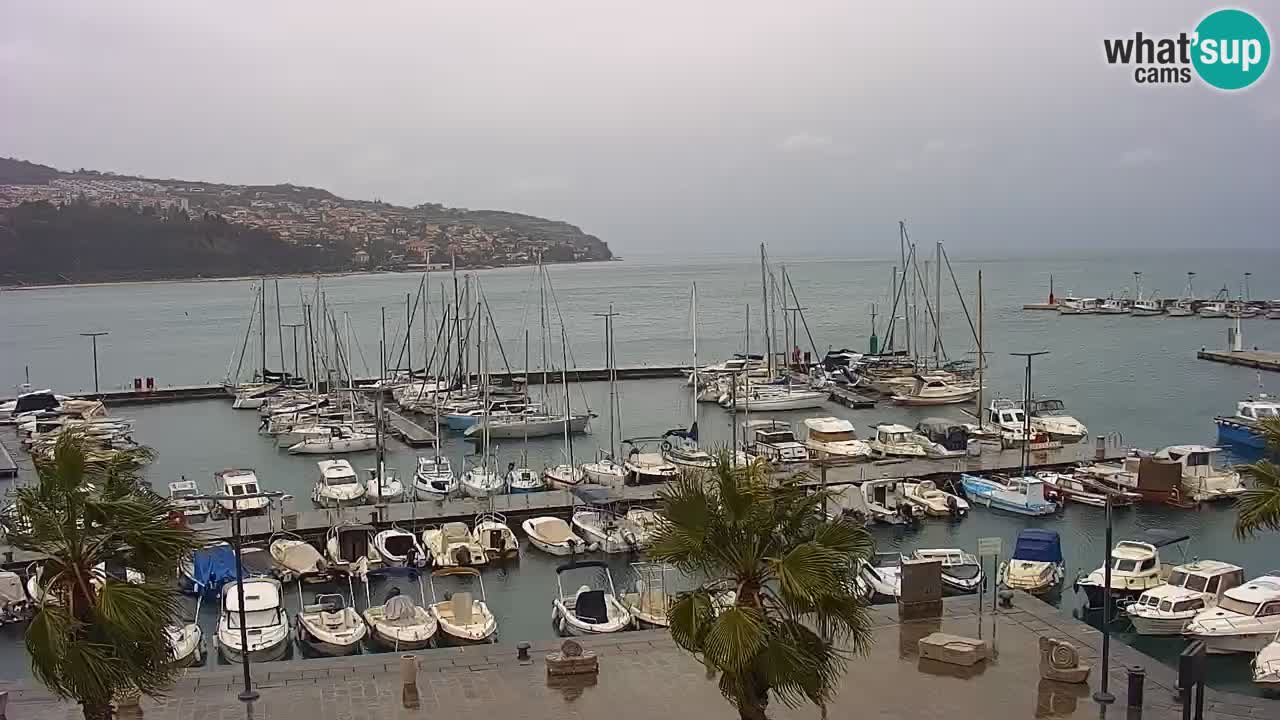 Webcam Koper – Panorama of the marina and promenade from the Grand Hotel Koper