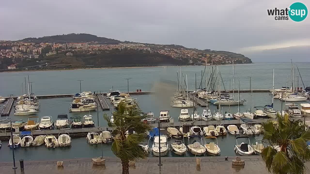Webcam Koper – Panorama of the marina and promenade from the Grand Hotel Koper