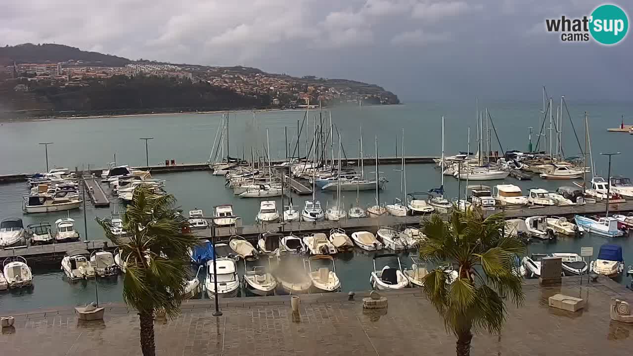 Webcam Koper – Panorama de la marina et de la promenade depuis le Grand Hotel Koper